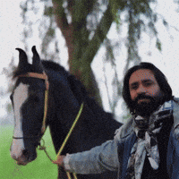 Bmfan GIF by BabbuMaan