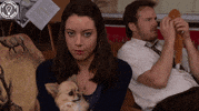 parks and recreation lol GIF by Amy Poehler's Smart Girls