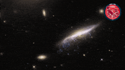 Nasa Floating GIF by ESA/Hubble Space Telescope