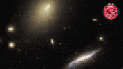 Nasa Floating GIF by ESA/Hubble Space Telescope