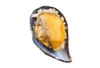 Seafood Limon Sticker by Midye Box