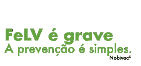 Nobivac Felv Sticker by MSD Família Pet