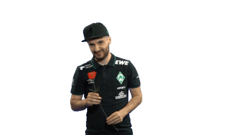 Fifa Playstation Sticker by SV Werder Bremen