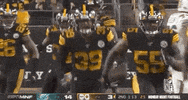 Regular Season Football GIF by NFL