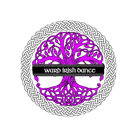 Champions Irish Sticker by Ashling Daly