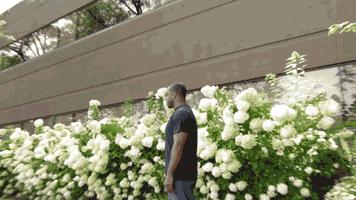 5hourENERGY tea drama zoom dramatic GIF