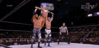 All Elite Wrestling GIF by AEWonTV