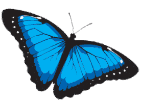 Blue Butterfly Sticker by RainForest Water