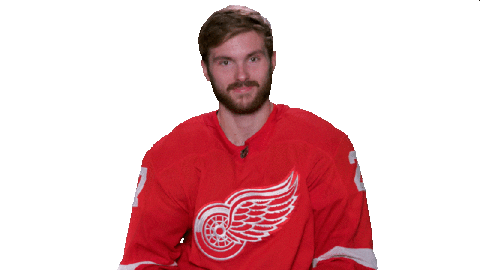 Red Wings Sport Sticker by Detroit Red Wings