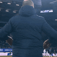 GIF by FOX Sports