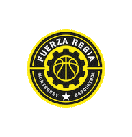 basketball mexico Sticker by LNBPoficial