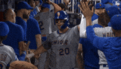 Celebrate Home Run GIF by New York Mets