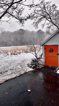 Snow Day GIF