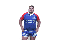 Cristiano Ronaldo Celebration Sticker by FCG Rugby