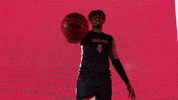 Lets Go Peay GIF by Austin Peay Athletics