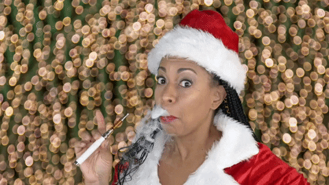 ComedianHollyLogan giphygifmaker christmas merry christmas santa GIF