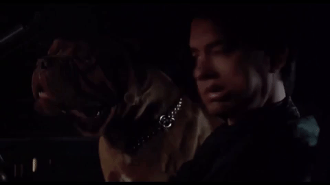 Turner And Hooch Dog GIF by swerk