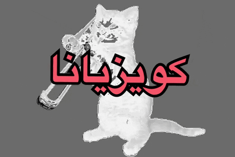 Kuwaisiana cat kitty trombone kuwaisiana GIF