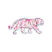 Football Clemson Sticker by Tigertown Graphics