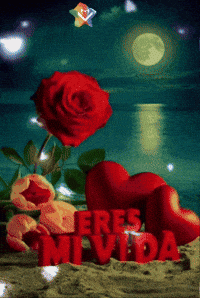 Mi Vida Sol GIF by Murcianys LLC