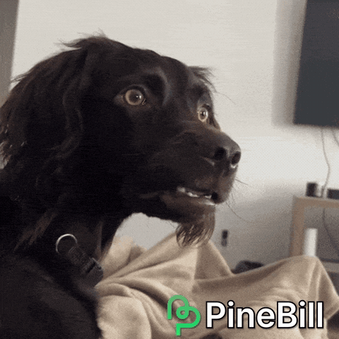 Confused Dog GIF by PineBill