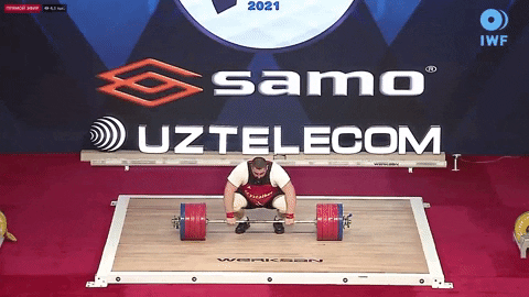 setforset giphyupload GIF