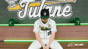 College Baseball Dylan GIF by GreenWave