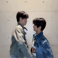 Cortis GIF