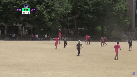 highansol93 giphyupload GIF