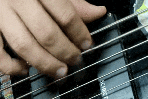 jazzbass GIF by Rockbadger Productions