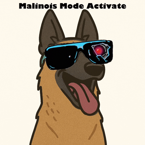 K9GRAPHICS giphyattribution malinois mode activate GIF