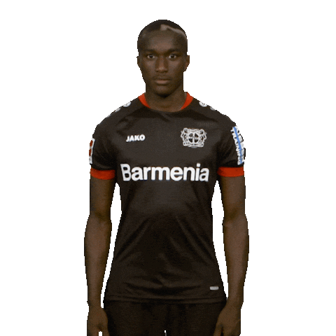 Posing Bayer 04 Sticker by Bundesliga