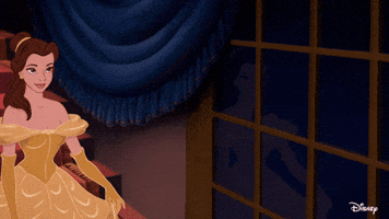 Belle GIF by Disney Princess
