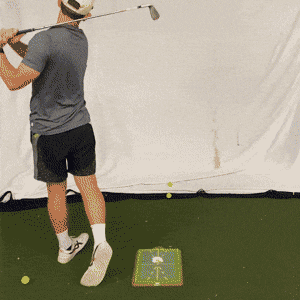 BeesSensations giphyupload GIF