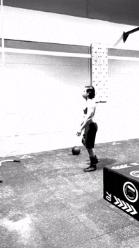 crossfithaya crossfit haya GIF