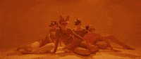 Sub Pop Art GIF by Sub Pop Records