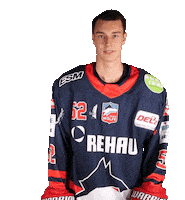 Ice Hockey Sticker by Selber Wölfe