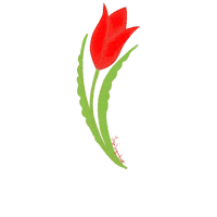 InfoShymkent tulip kazakhstan tulips казахстан Sticker