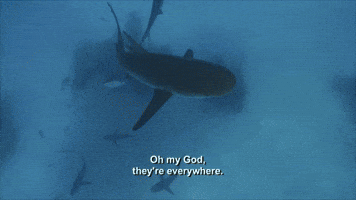 OMG They're Everywhere 