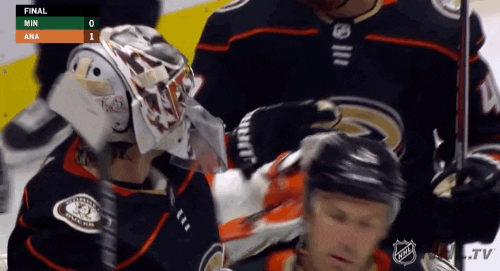 Ice Hockey Hug GIF by NHL