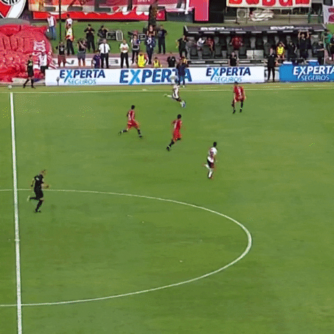 rosarioplus giphyupload GIF