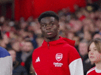 Premier League Futbol GIF