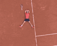 Tired Novak Djokovic GIF