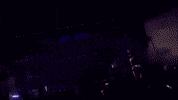 opheliarecords ubbi dubbi seven lions seven lions live ubbi dubbi 2021 GIF