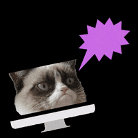 ungmediasverige media grumpy cat ung media kongressen 2020 GIF