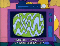 Season 2 GIF by The Simpsons