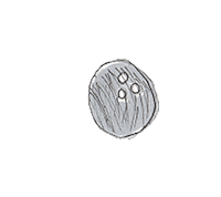 coconut garitma Sticker