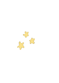Star Sticker