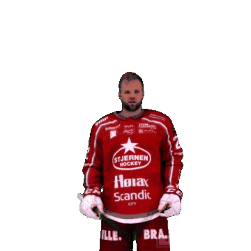Stjernenalag Sticker by StjernenHockey