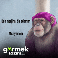 Maymun GIF by Görmek Lazım